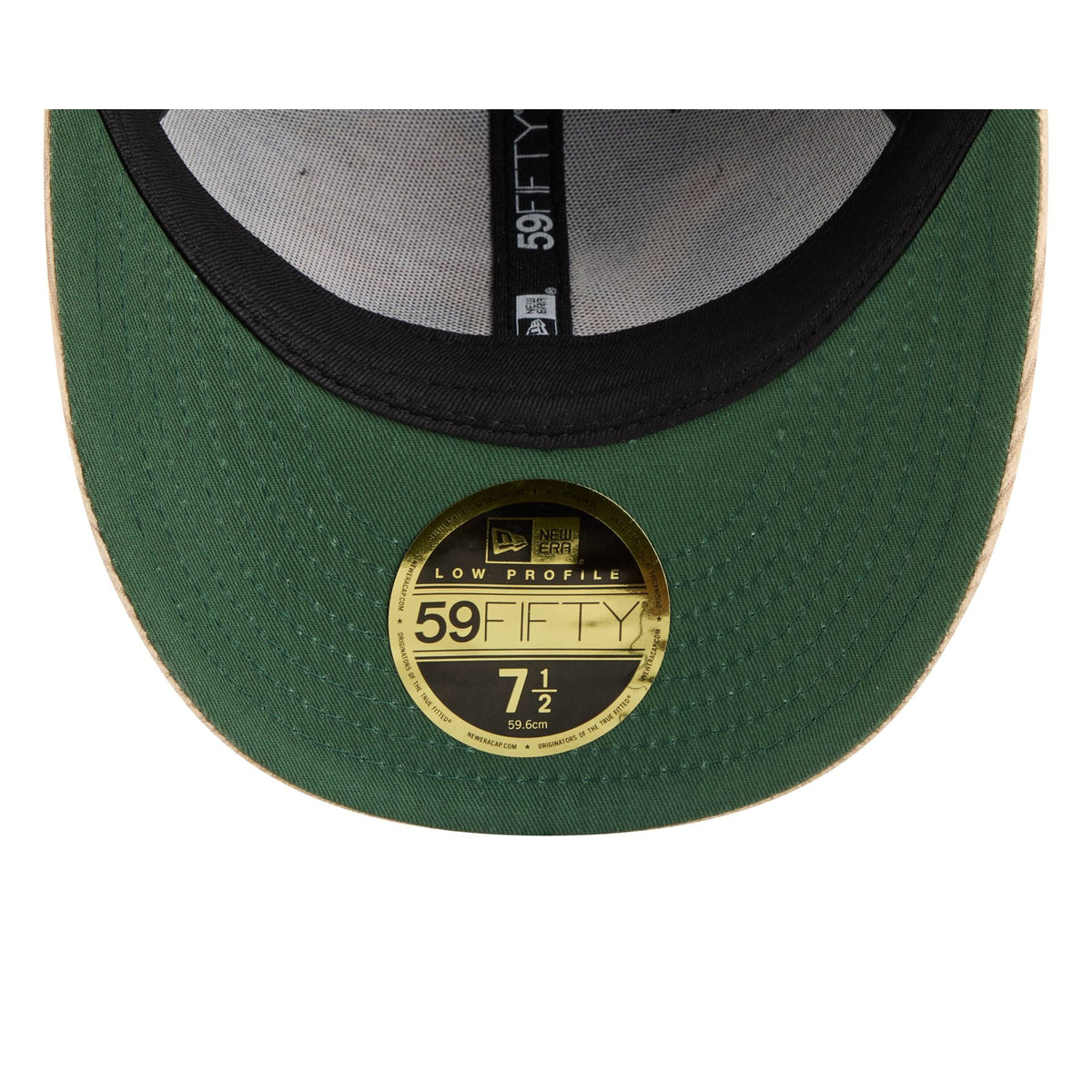 Detroit Lions Fall Velvet Low Profile 59FIFTY Fitted Hat
