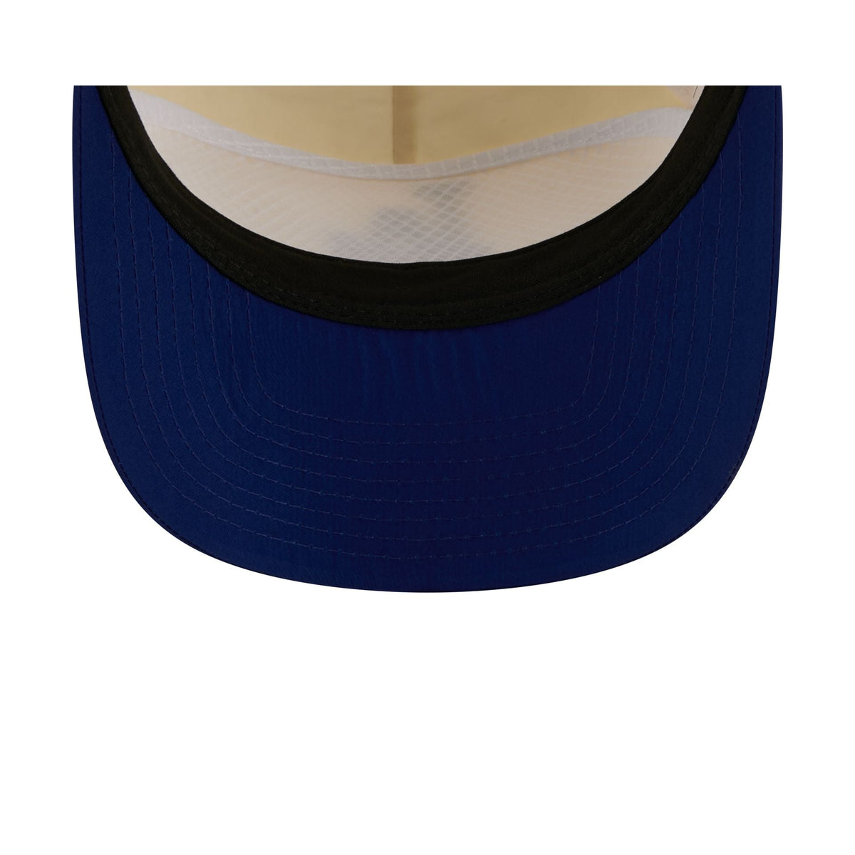 Los Angeles Dodgers Chrome Nylon 19TWENTY Adjustable Hat
