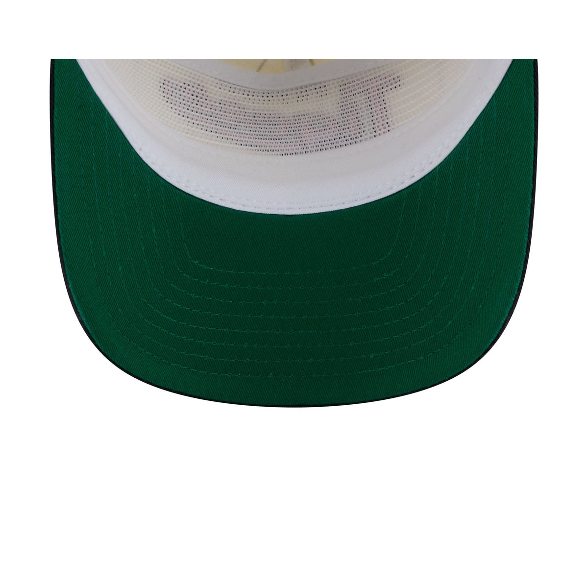 Detroit Tigers Chrome White Pinstripe 19TWENTY Snapback Hat