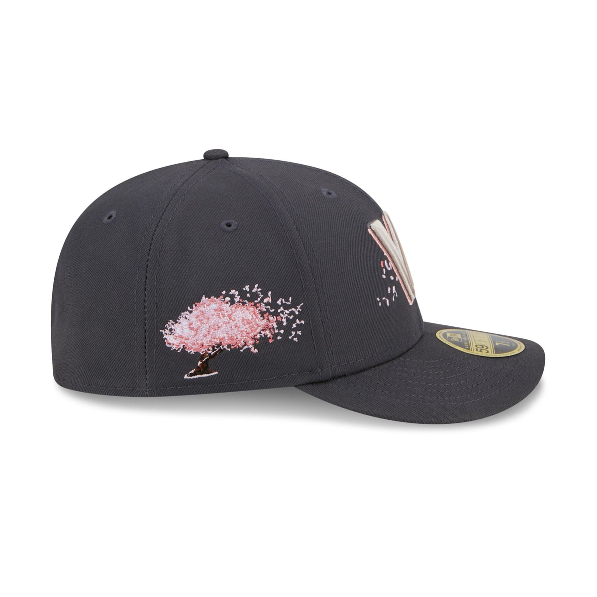 Washington Nationals City Connect Low Profile 59FIFTY Fitted Hat