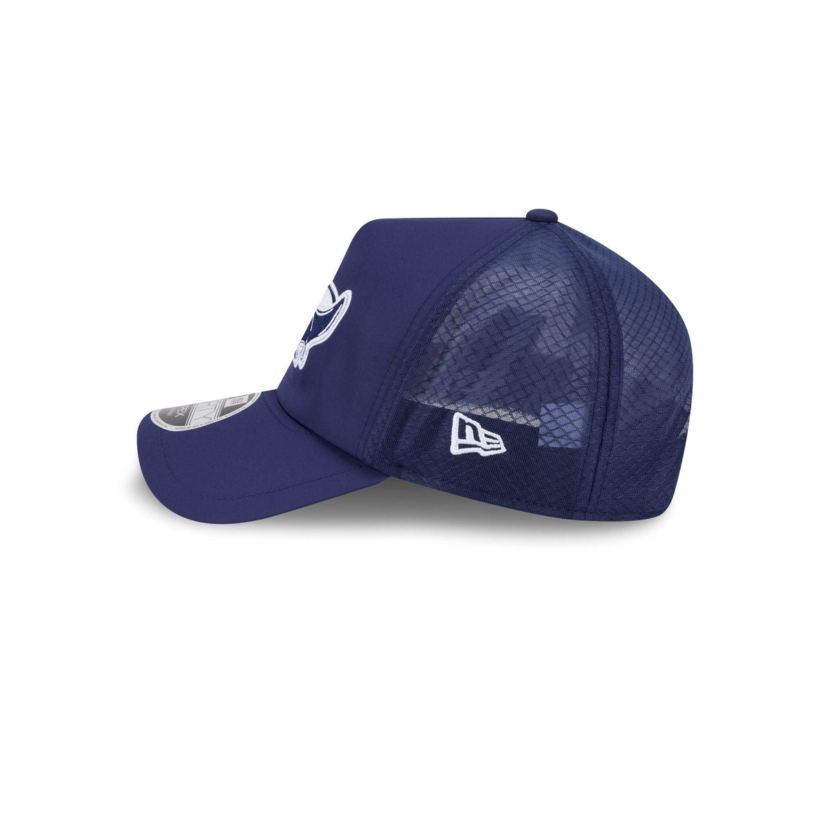 Tampa Bay Rays 2026 Batting Practice Alt Ray 9FORTY APEX Trucker Hat