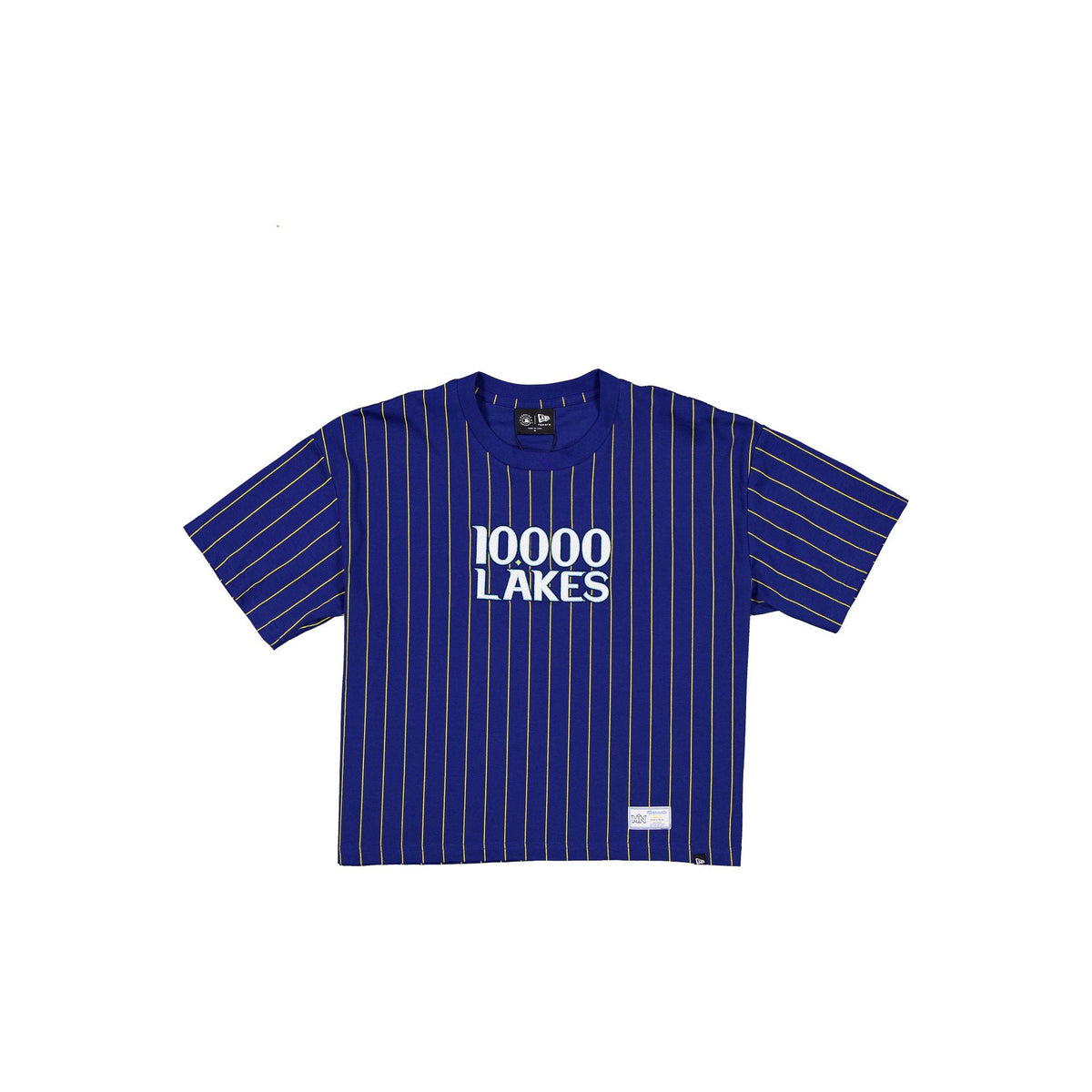 Minnesota Twins 2026 City Connect Pinstripe Women's T-Shirt