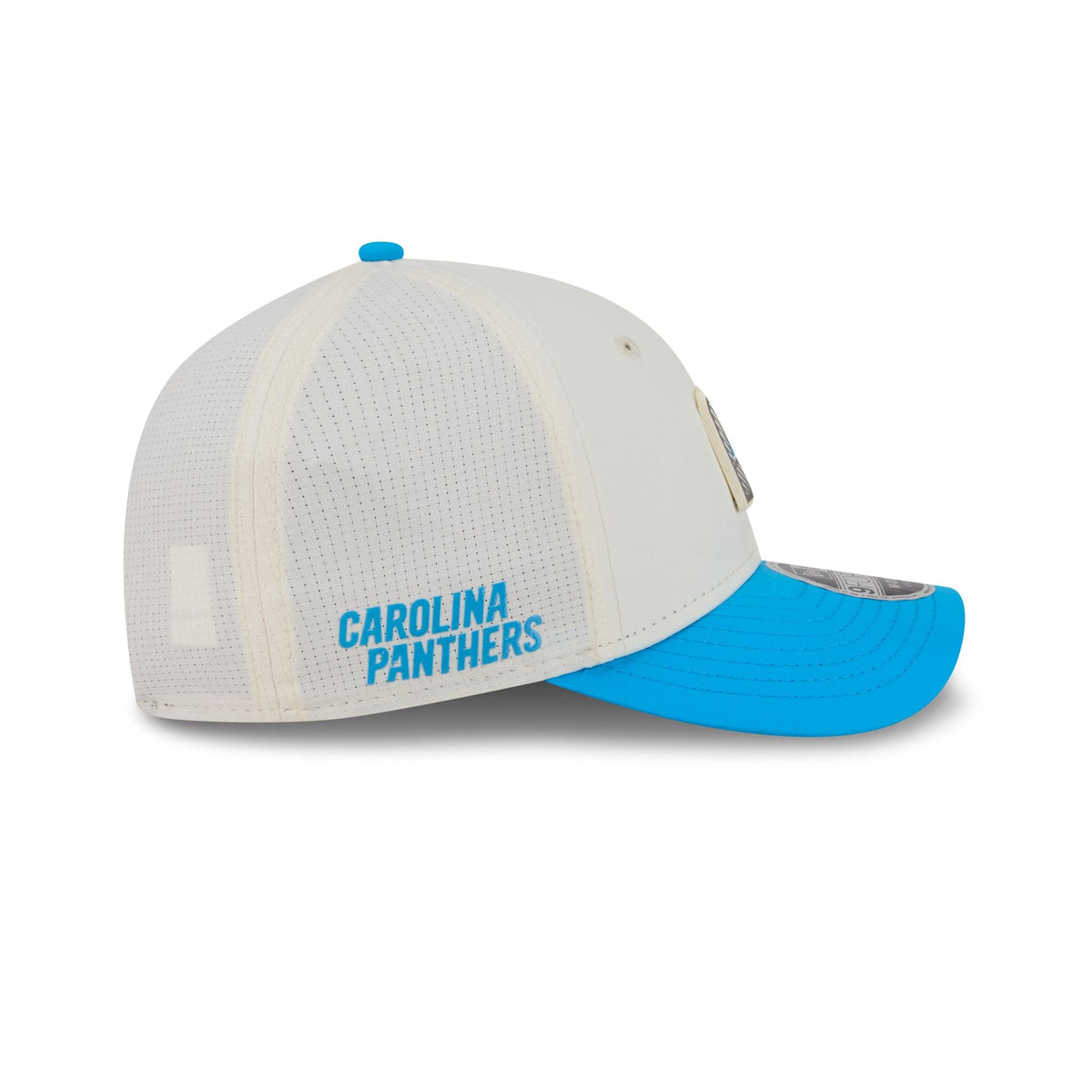 Carolina Panthers 2026 Training 9FORTY M-Crown Snapback Hat