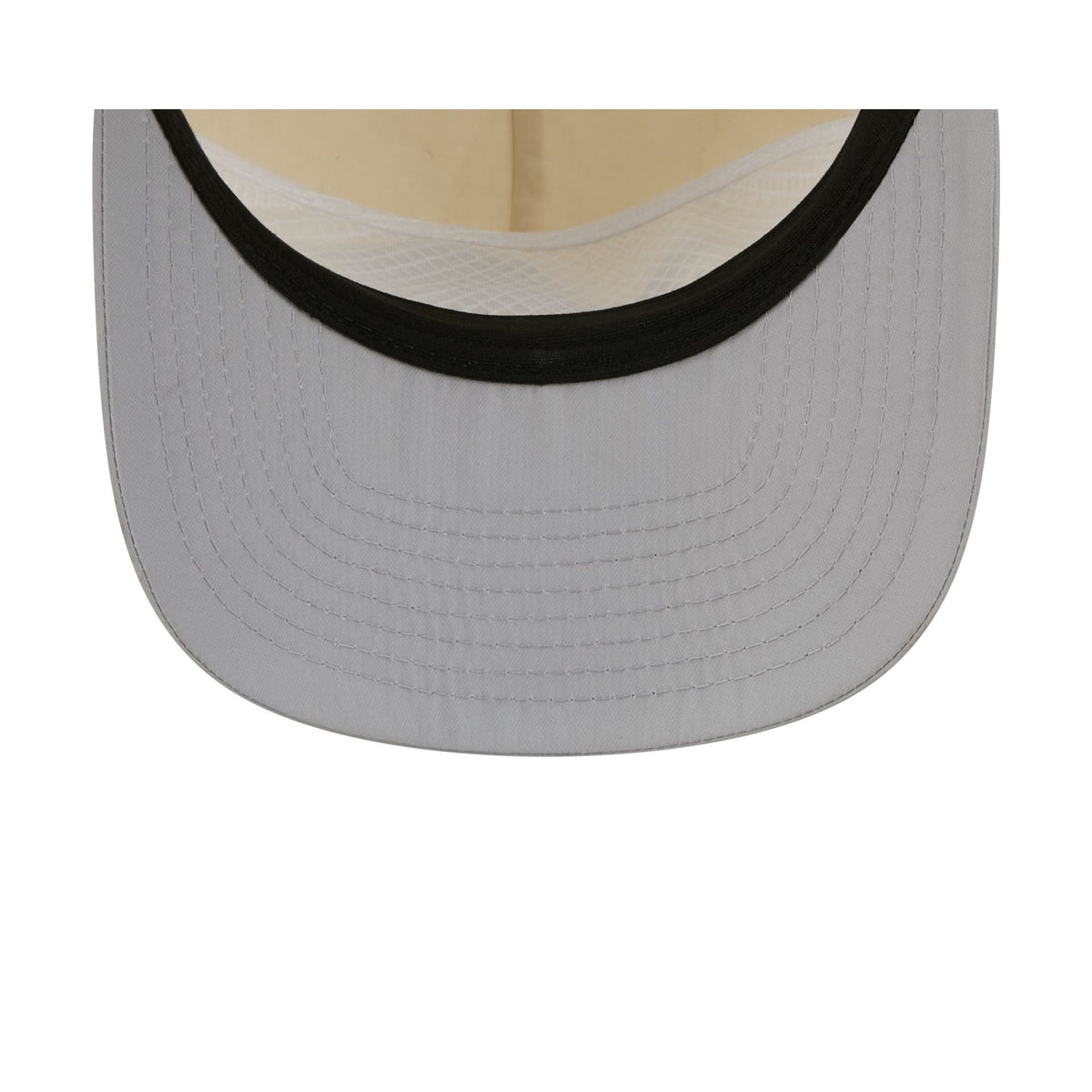 Detroit Lions Chrome Nylon 19TWENTY Adjustable Hat