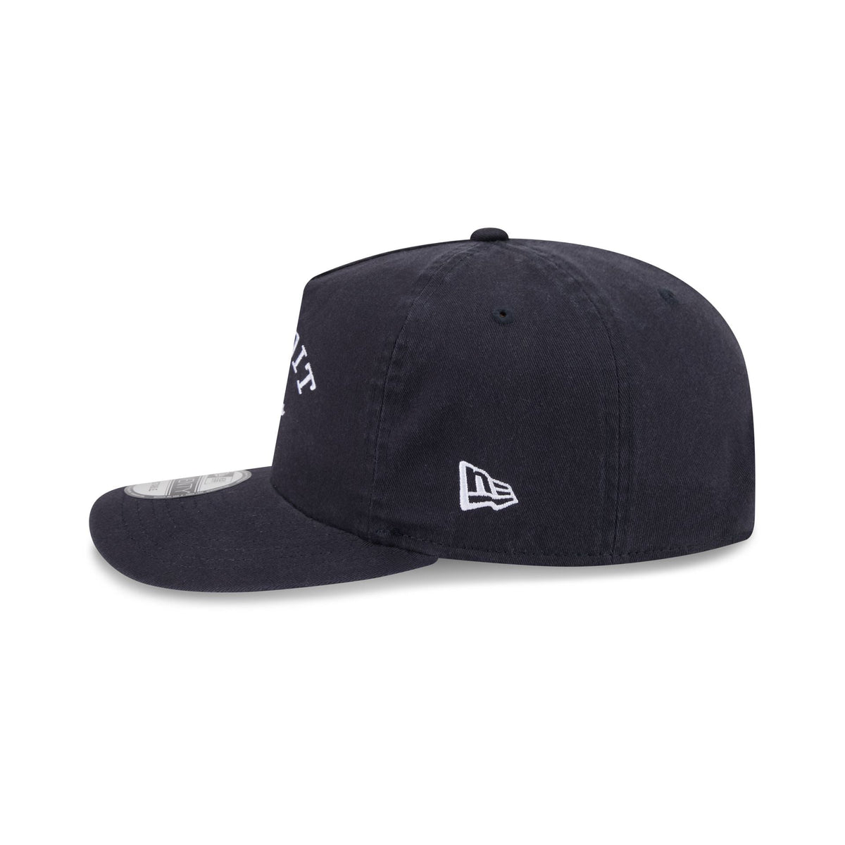 Detroit Tigers Arched Graphic 19TWENTY Snapback Hat
