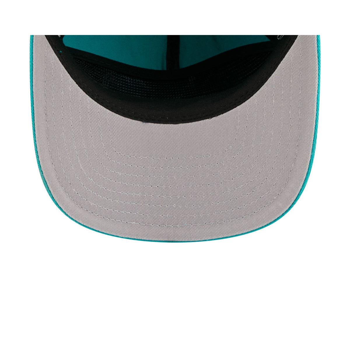 Miami Dolphins Arched Graphic 19TWENTY Snapback Hat