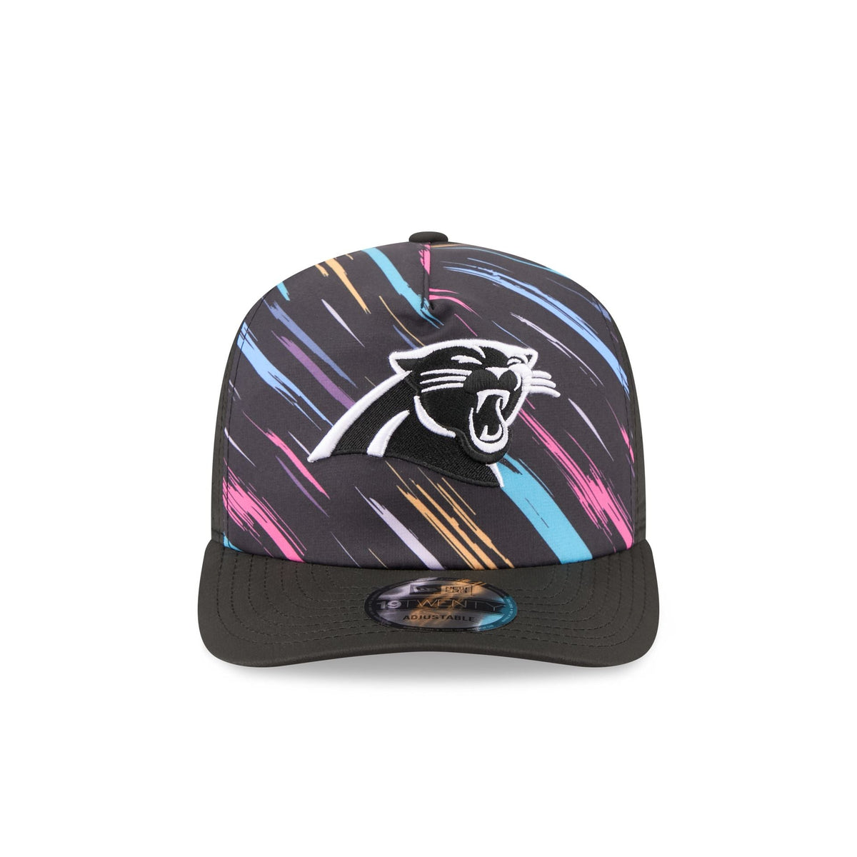 Carolina Panthers 2026 Crucial Catch 19TWENTY Snapback Hat
