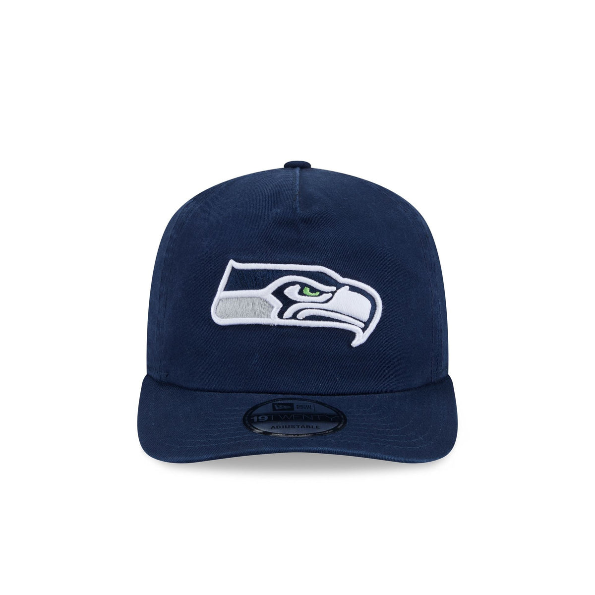 Seattle Seahawks Team 19TWENTY Snapback Hat