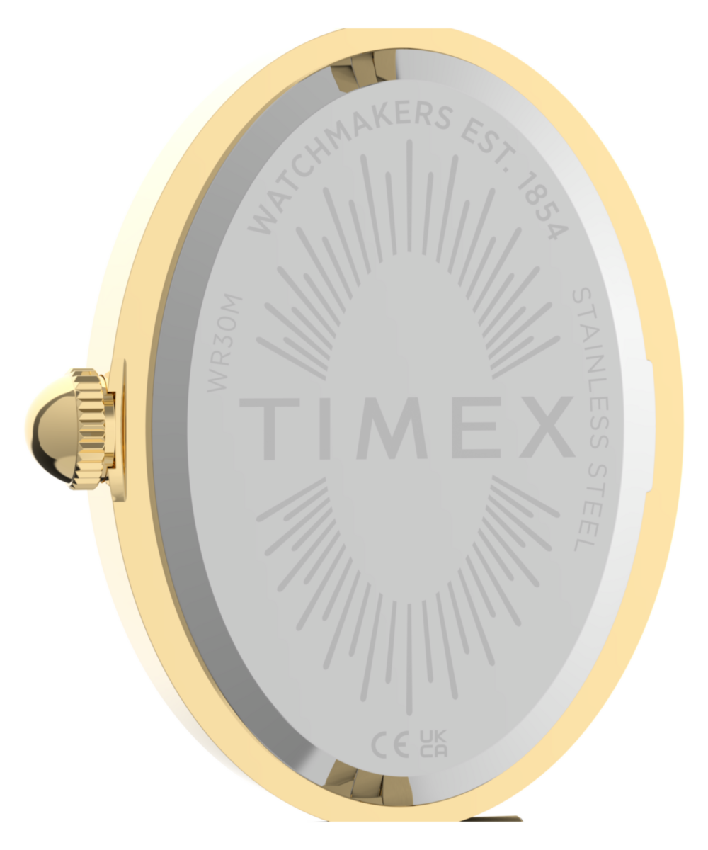Cavatina® Luxe 22mm Stainless Steel Watch